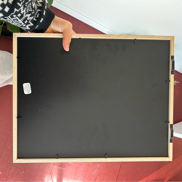 Framed Plant Art Print - Picture 5 of 5